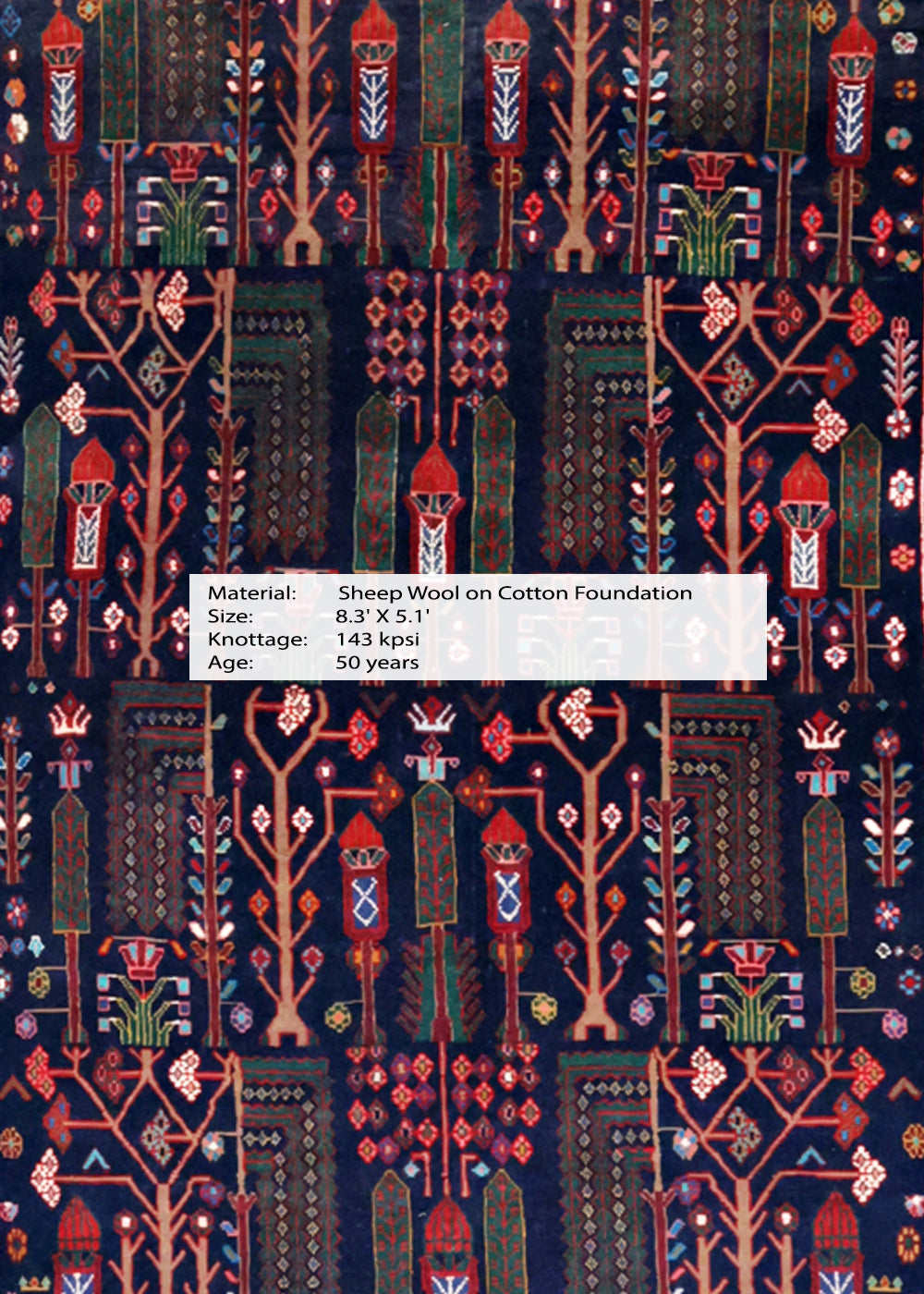 Persian Bid-e-Majnoon Rug